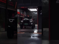 385Nm 185KW 252Ps 4WD 5 asientos 5 puertas 2.0T Tanque 400 SUV gasolina Carro nuevo