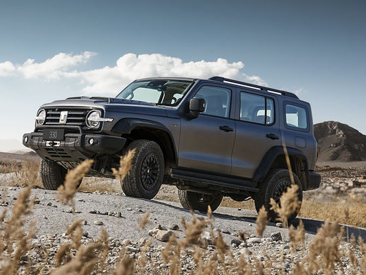 En buen estado Nueva versión 3.0T Tanque 300 SUV 4WD Híbrido EV gasolina Nuevo coche