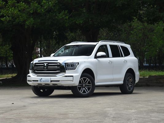Competitivo 5 asientos 5 puertas 3.0T tanque 500 SUV 500Nm 265KW 360Ps 4WD Nueva energía híbrido EV gasolina gasolina combustible nuevo coche